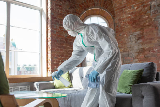 Kensington, CA Mold Removal Company